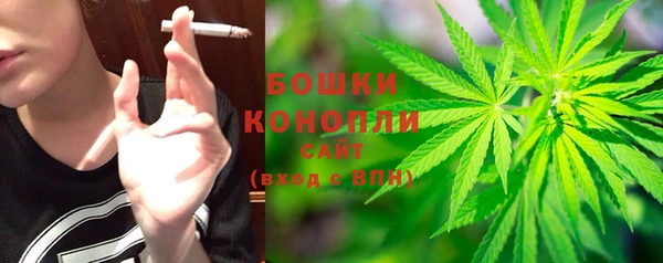 мяу мяу мука Бородино