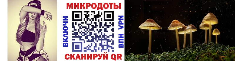 Псилоцибиновые грибы GOLDEN TEACHER Губкинский