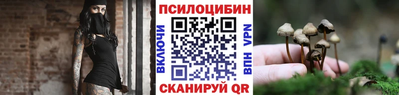 купить ссылка на мегу как войти Псилоцибиновые грибы Cubensis Губкинский
