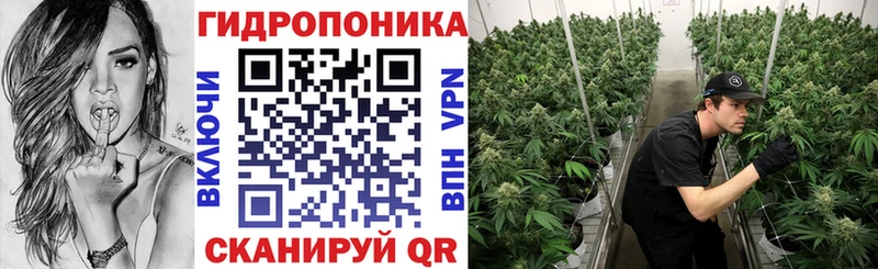 даркнет как зайти  hydra ССЫЛКА  Губкинский  Шишки марихуана SATIVA & INDICA 